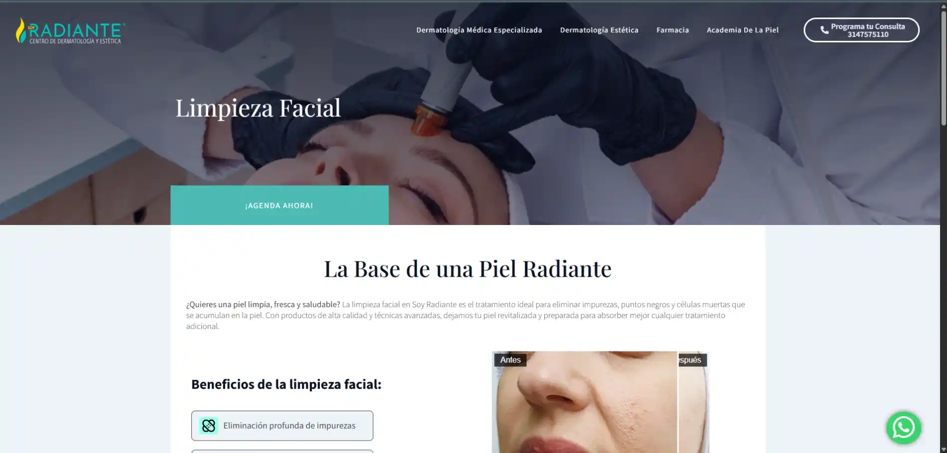 Galería del proyecto