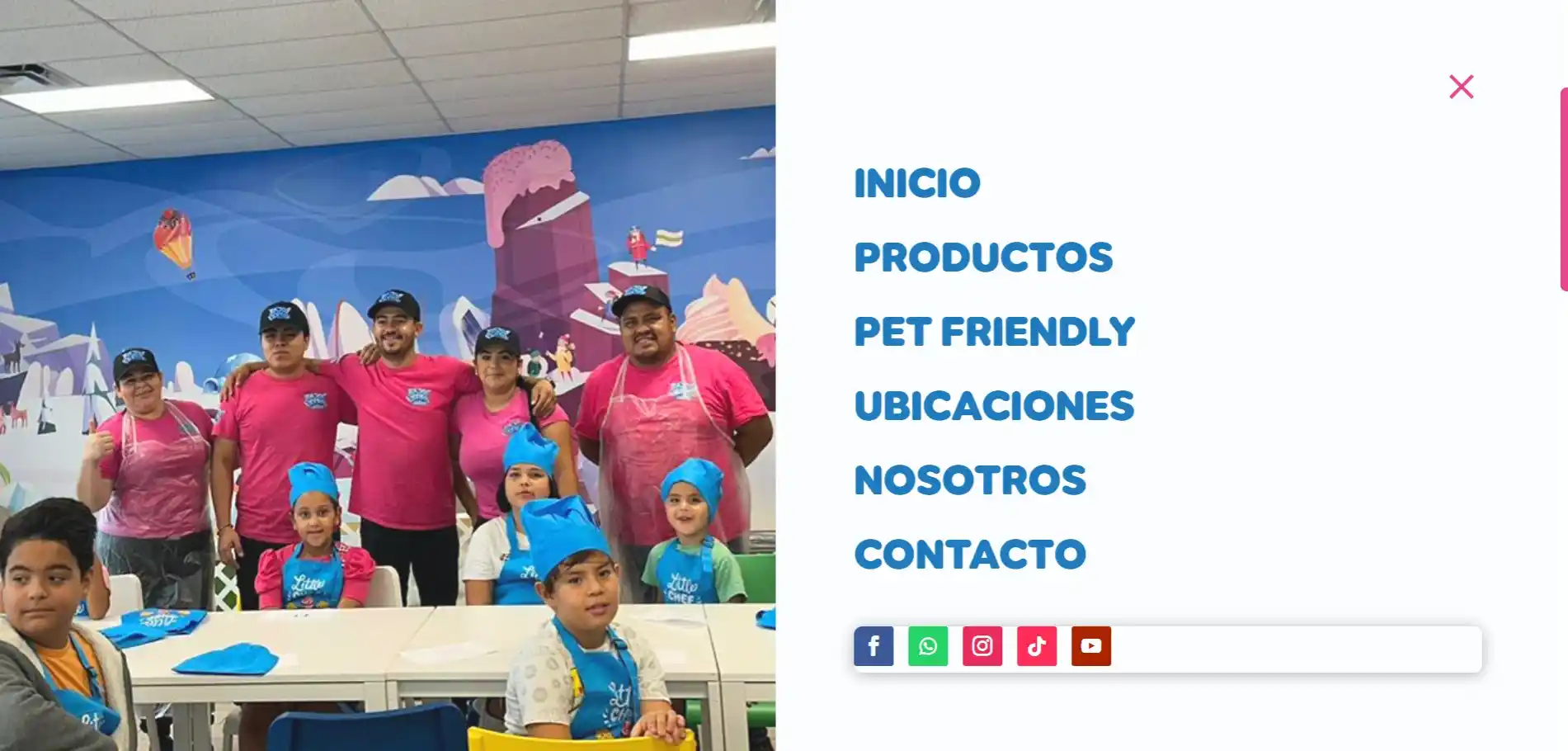 Galería del proyecto